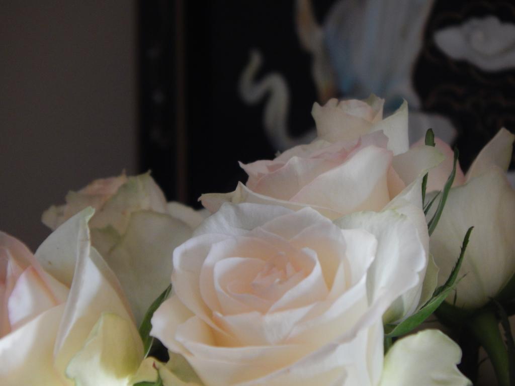 Slow Living Beautiful Villa Ραφήνα Εξωτερικό φωτογραφία