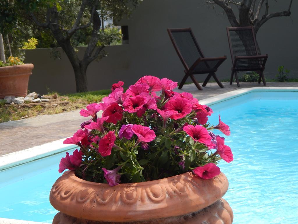 Slow Living Beautiful Villa Ραφήνα Εξωτερικό φωτογραφία