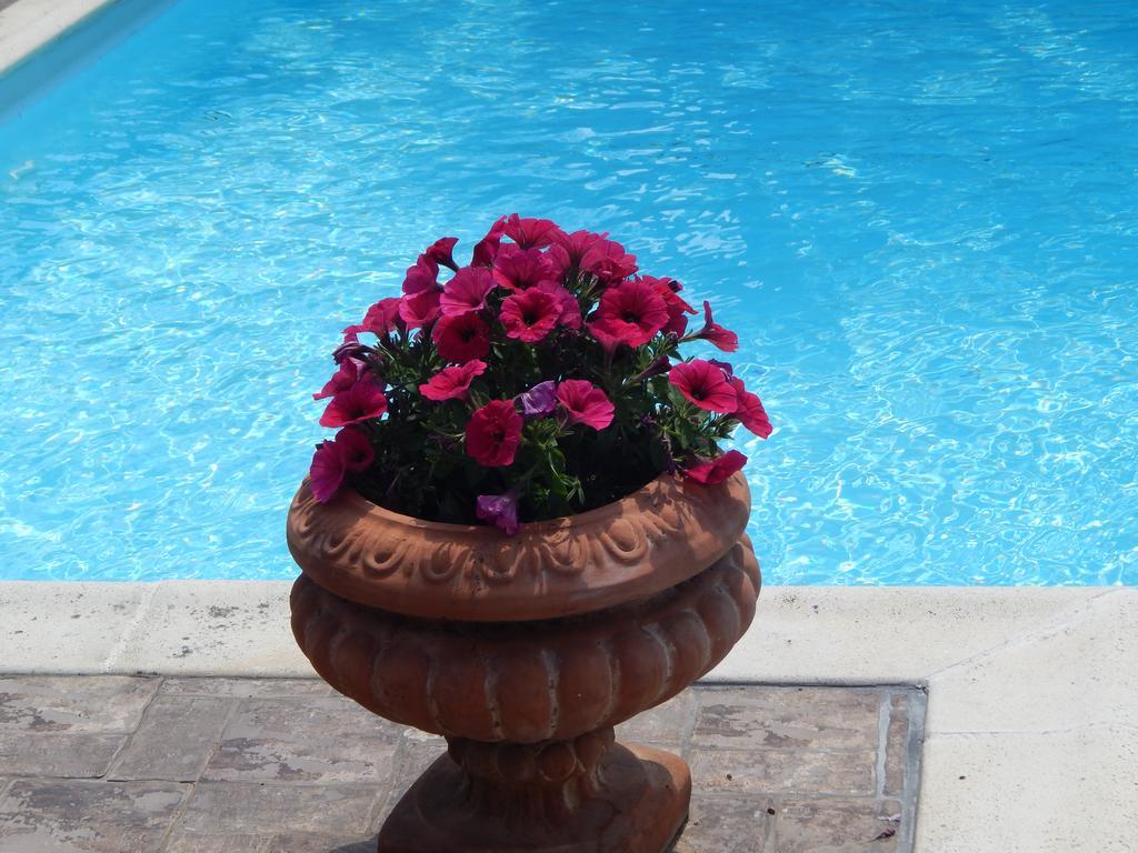 Slow Living Beautiful Villa Ραφήνα Εξωτερικό φωτογραφία