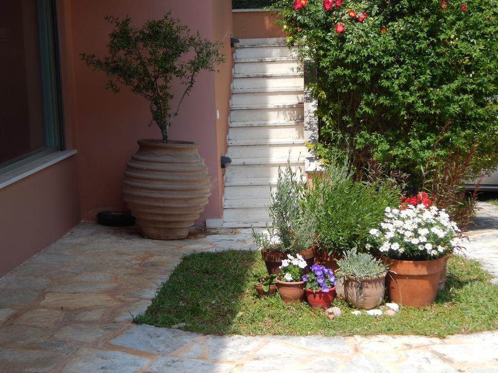 Slow Living Beautiful Villa Ραφήνα Εξωτερικό φωτογραφία