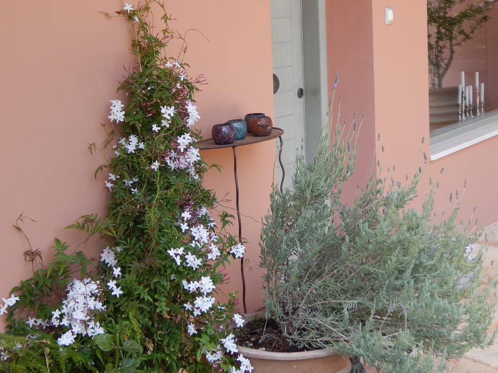Slow Living Beautiful Villa Ραφήνα Εξωτερικό φωτογραφία