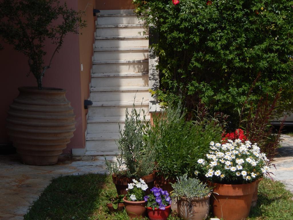 Slow Living Beautiful Villa Ραφήνα Εξωτερικό φωτογραφία